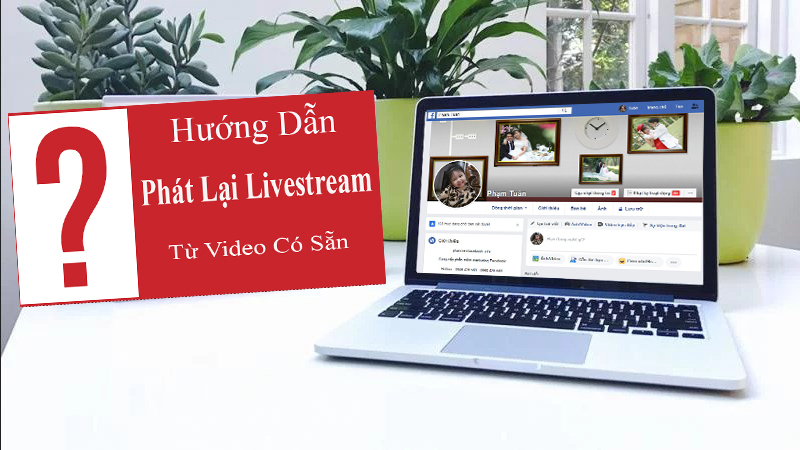 Các Phần Mềm Phát Lại Live stream